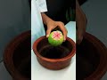 Guava goodness 🍈✨#Guava #FreshFruits #HealthySnack #FruitLove #DesiVibesTangy treats 💚#Amrood #guava
