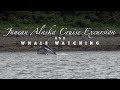 Juneau Alaska Cruise Excursion and Whale Watching - June 5, 2017