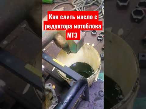 КАК слить масло в коробке мотоблока МТЗ? #shorts #short #like #shortvideo  #top #trending