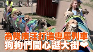 為殘疾汪打造「狗狗列車」　毛孩坐水桶內開心逛大街All paws aboard!: Woof express gives disabled dogs their daily walks｜土耳其｜流浪狗