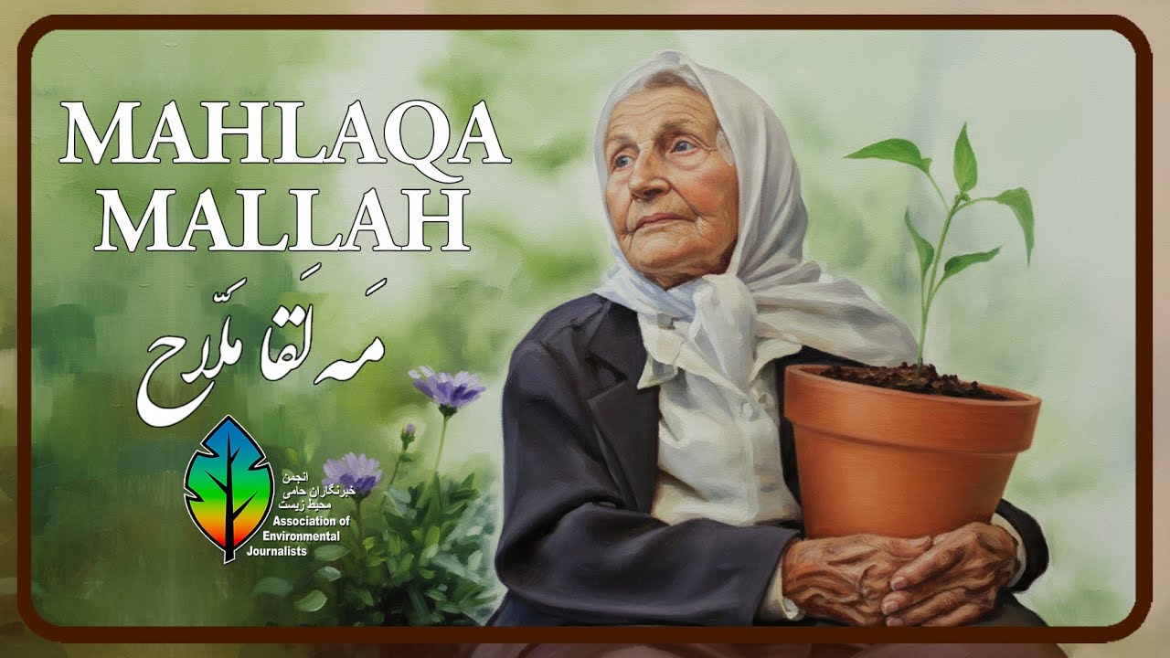 Mahlaqa Mallah: Pioneering Environmental Activism in Iran | Exclusive Interview on Life & Legacy