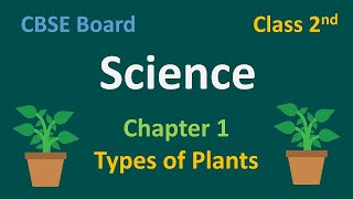 CBSE - Grade 2 - Science | Chapter 1 - Types of Plants | CBSE Board | Science For Kids | Standard 2