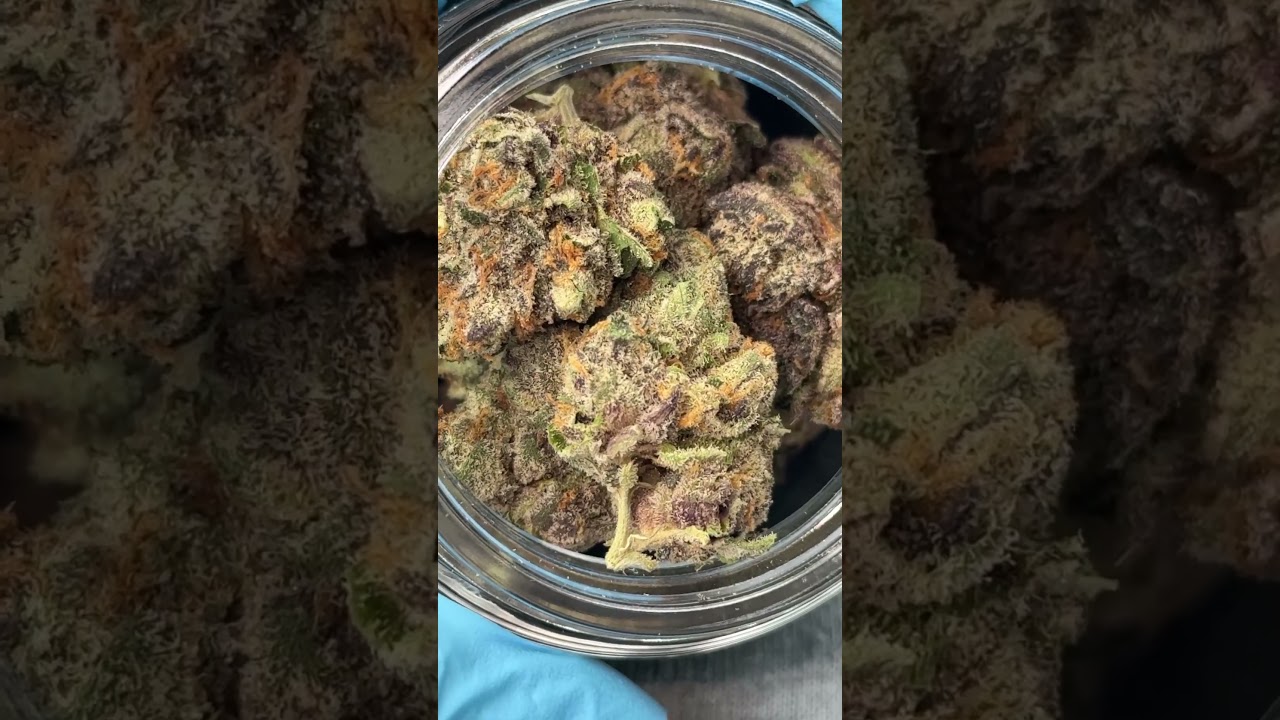 CONNECTED - Gushers 💦