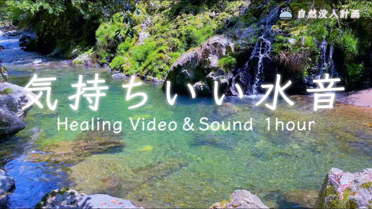 清流】美しくて気持ちいい川のせせらぎに癒される1時間【自然環境音