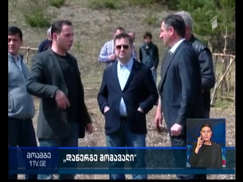 რაჭაში 7 ჰექტარზე კაკლის ბაღები გაშენდება