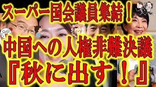 【スーパー国会議員集結！『中国への人権非難決議を秋に出す！』】遂に堂々と日本も対中国包囲網に加われるぞ！超党派のスーパー議員達が集結し、秋の臨時国会で中国への人権非難決議の断固たる決意！絶対二階くんに