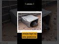 Wydruki 3D do akwarium czy terarium 🐠