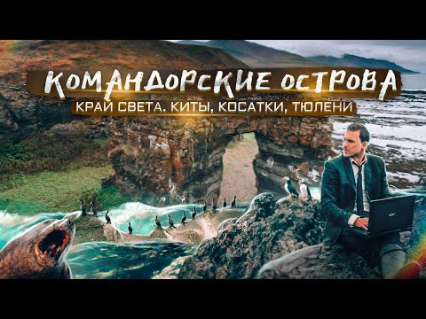 Командорские острова - мекка китов, косаток, тюленей и птиц. Путешествие на корабле к краю Земли