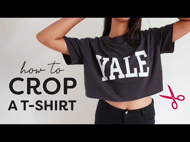 How to crop a t-shirt (no sewing) 