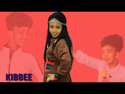 Kan Akka Waqayyoo Kibbee Ittanaa