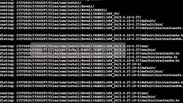 rac 121011 psu patch standard cluster NoACFS Apply part1