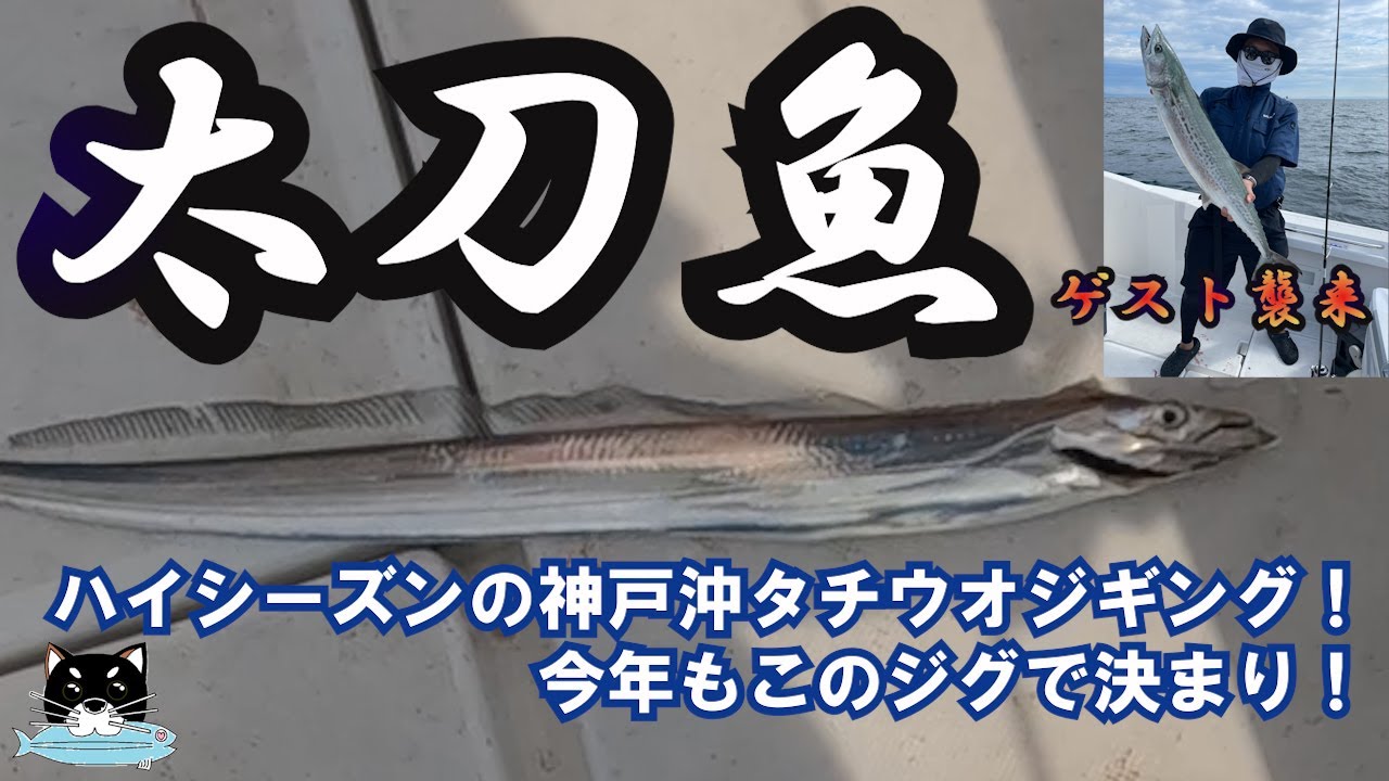 【ジギング】【大阪湾】神戸沖太刀魚ジギングを愉しむ！！ハイシーズンのタチウオジギングに挑戦♪まさかの大物ゲスト襲来！！【オフショア】