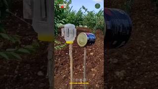 Homemade Simple DIY Bird and Animal Repellent System 🤩