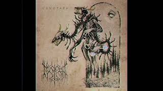 Nosłeep - Surge