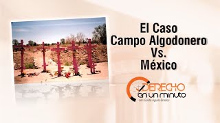 El Caso Campo Algodonero vs. México - DE1M # 47