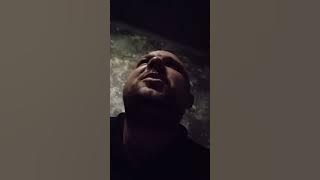 ASPLENERSEM Music 🎶