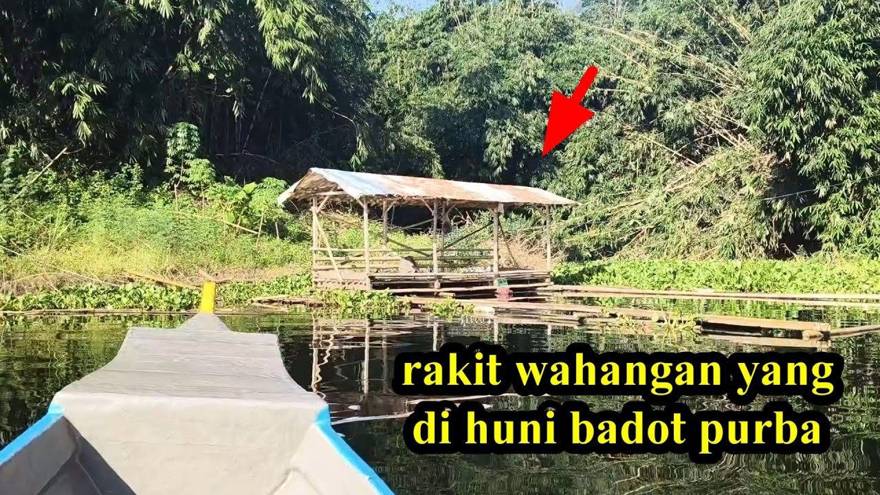 Rakit wahangan yang di huni badot purba 