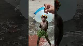 colouring balloon video