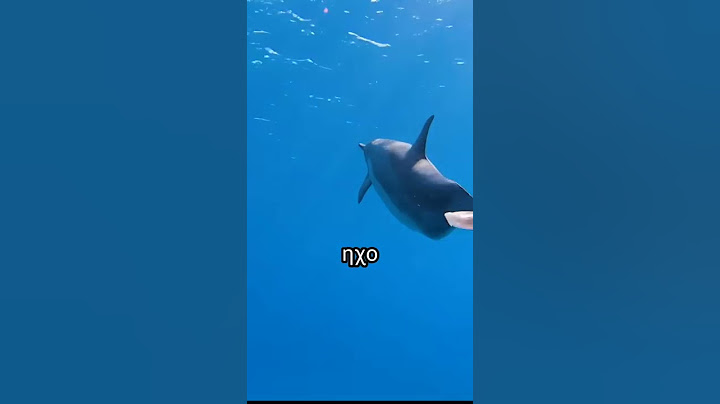 ΒΡΗΚΑ ΚΑΡΧΑΡΙΕΣ😰😰