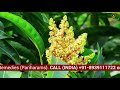 How To Perform Griha Pravesh Pooja Mp3 Song