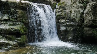 Blue Hole Christiana #hidden gem #jamaican lifestyle