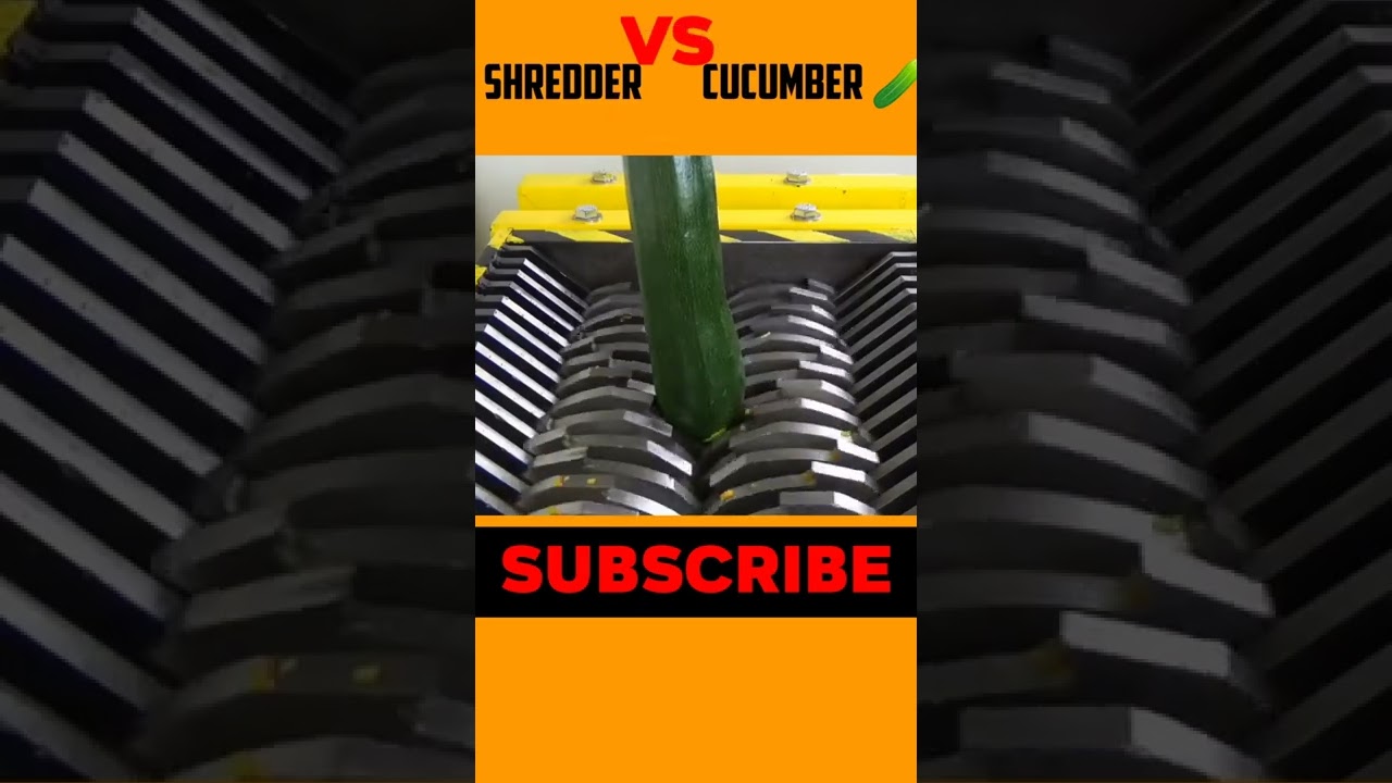 Shredder vs Cucumber ||