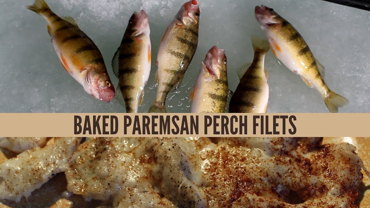 Baked Parmesan Perch Filets