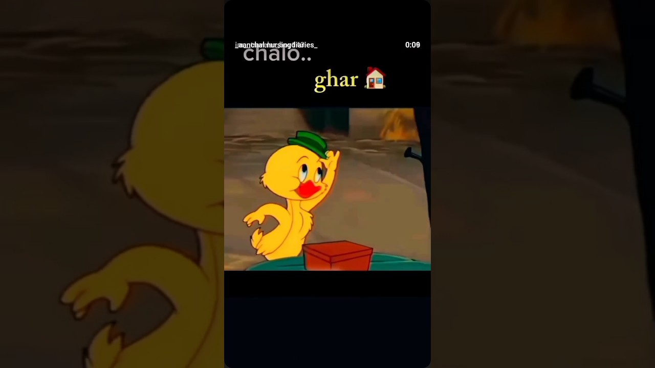 | LLR School of Nursing | GNM Student Life, Returning Home |