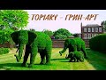 TOPIARY или ГРИН-АРТ