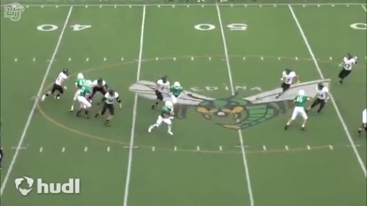 2016 Liberty Football Signing Day: Alex Probert - YouTube