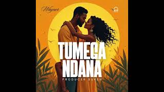 Wayner  Tumegandana  