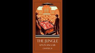 The Jungle, Chapter 20 - Upton Sinclair - Sleep Reading