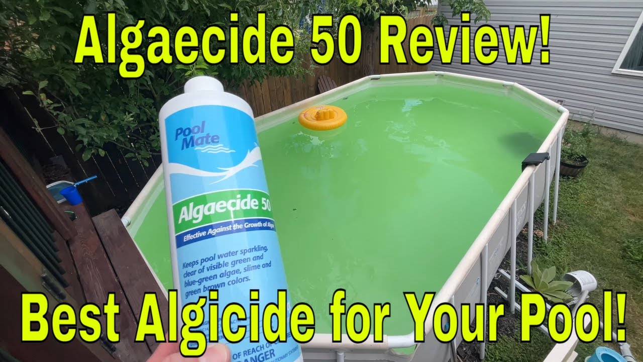 Pool Mate Algaecide 50 Review! Get Rid of Algae in Your Pool! Best Algicide Product on Amazon!