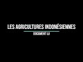 Lecture du document les agricultures indonsiennes