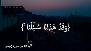 وما لنا ألا نتوكل على الله وقد هدانا سبلنا - القارئ فارس عباد  #quran #فارس عباد