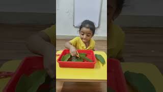Pincer Grip Activity for hand and eye coordination #disneyoakspreschool
