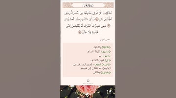 سورة الرحمن من (٥٤-٥٦)