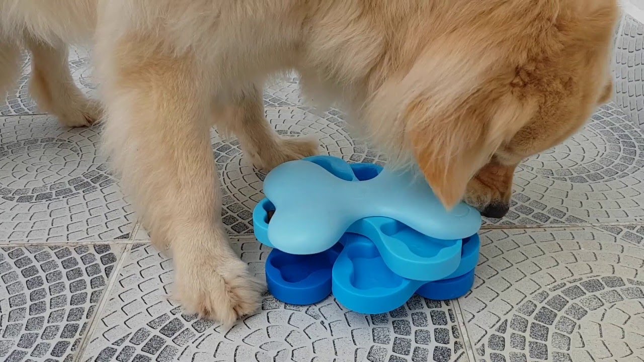 Swiveling Dog Bowl Kibble Hunt ViralHog YouTube
