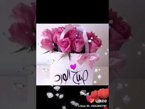 نغمة صباحية 