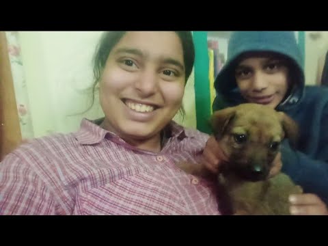 Puppy utha laye 😁😁