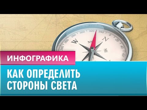 Как определить стороны света