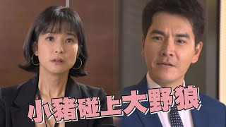 【三隻小豬的逆襲】TEASER│賴雅妍.王傳一回歸華劇!破產小豬遇上大野狼該如何解套? 【三隻小豬的逆襲】TEASER│賴雅妍.王傳一回歸華劇!破產小豬遇上大野狼該如何解套?