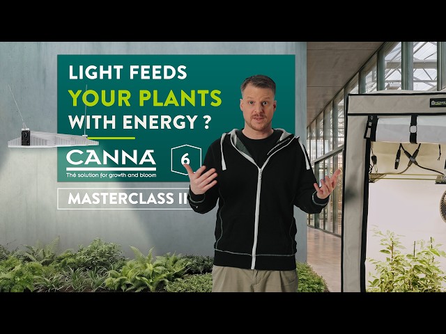 Watch Did you know that light feeds your plants with energy? | CANNA Masterclass - Ep. 6 on YouTube.