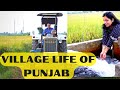 Village tours in india amritsar  village life of punjab  india ek jannat  11