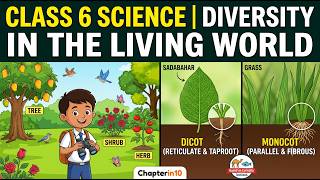 Class 6 Science Chapter 2 | Diversity in the Living World | Curiosity Textbook