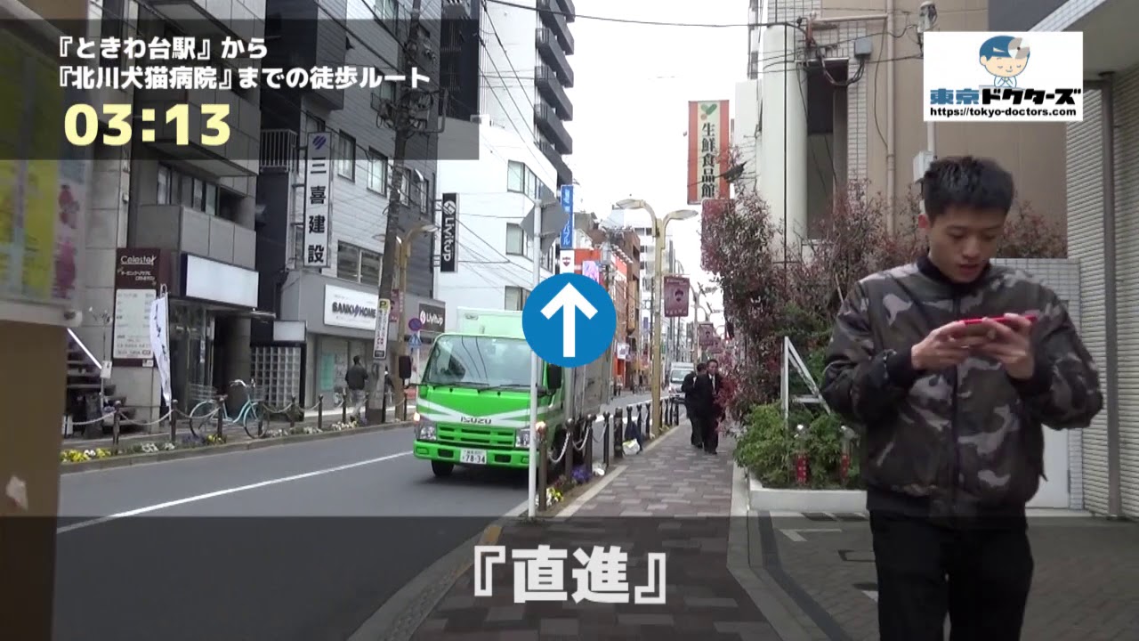 診療案内 皮膚科 耳科 一般内科 外科 予防科 循環器科 北川犬猫病院