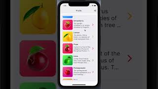 Flutter UI Building with Shared Preferences and Provider