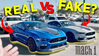 FAKE VS REAL 2021 MACH 1 HANDLING PACKAGE MUSTANG. WHAT'S THE BIG DIFFERENCE & COST?