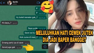 MELULUHKAN HATI WANITA JUTEK DIA JADI BAPER BANGGET || CHAT STORY GOMBAL