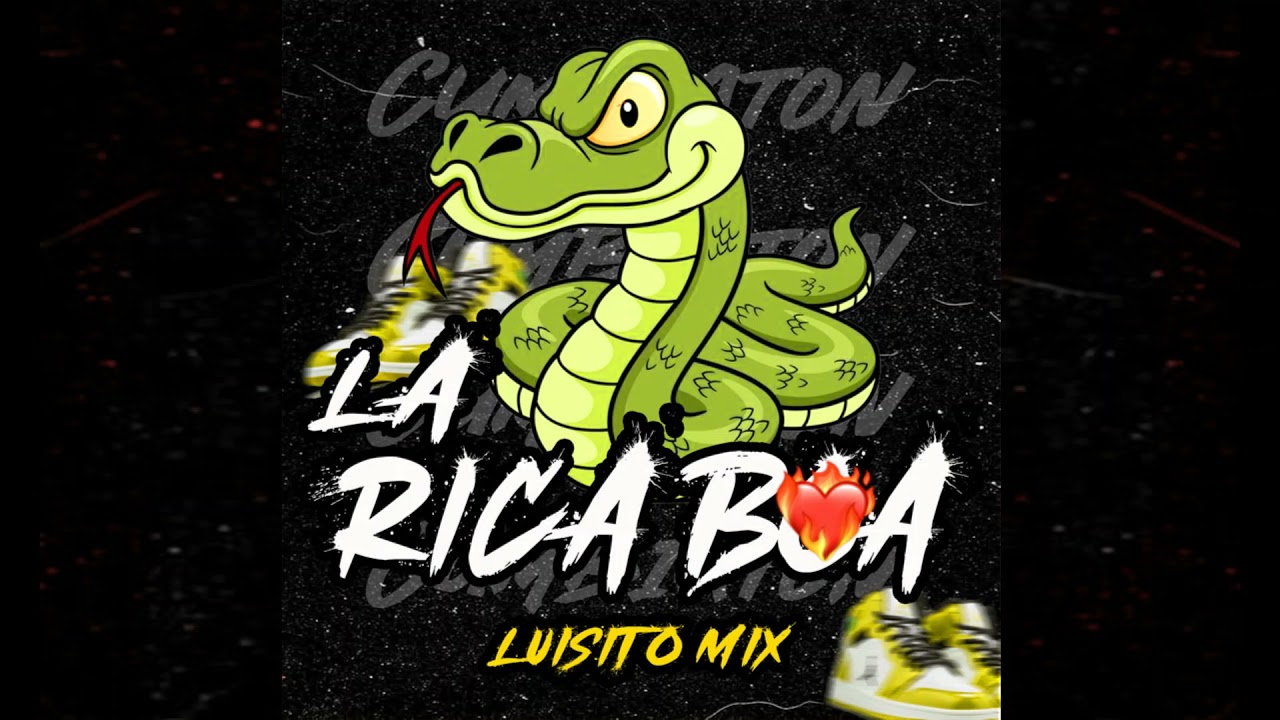 La Rica Boa| Dj Luisito Mix 🔥